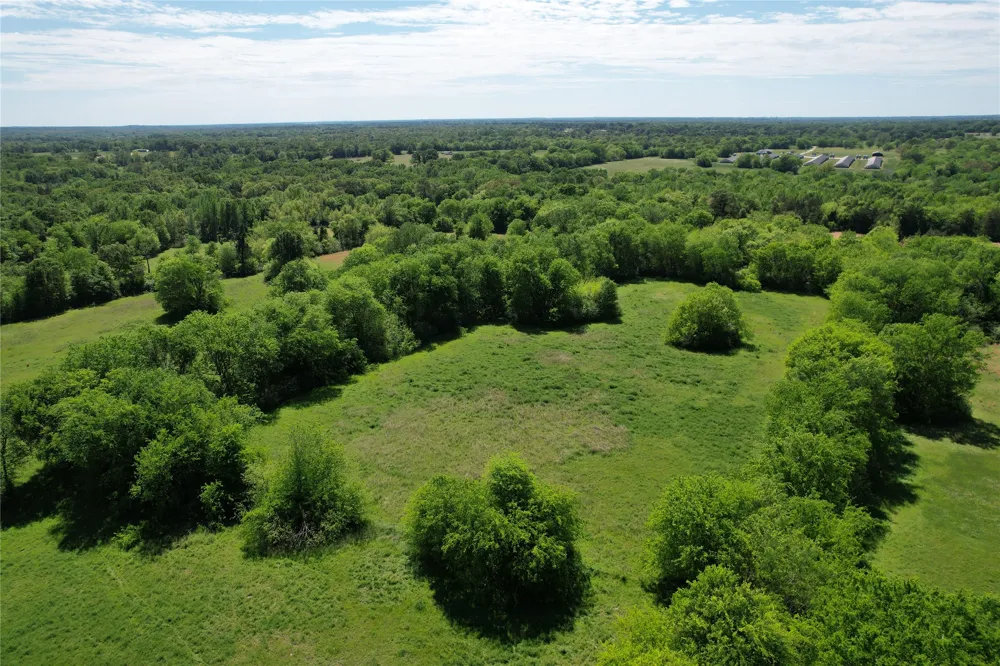 2846 County Road 2415 Pickton, TX 75471