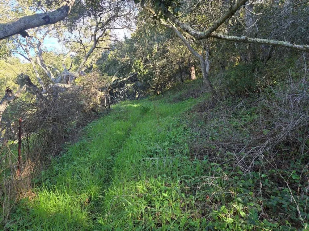 Paradise Road Salinas, CA 93907