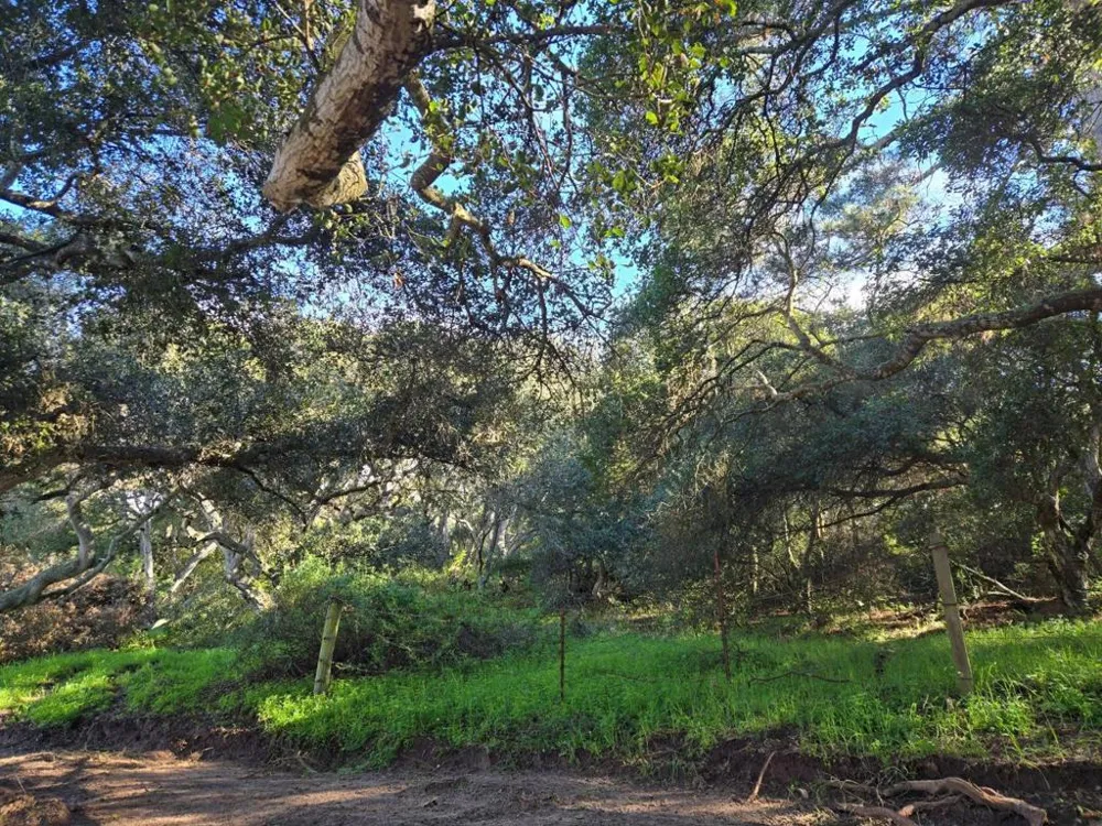 Paradise Road Salinas, CA 93907