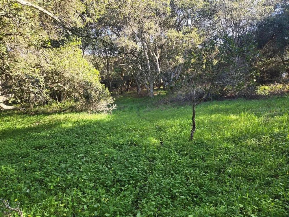 Paradise Road Salinas, CA 93907