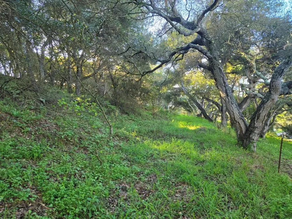 Paradise Road Salinas, CA 93907