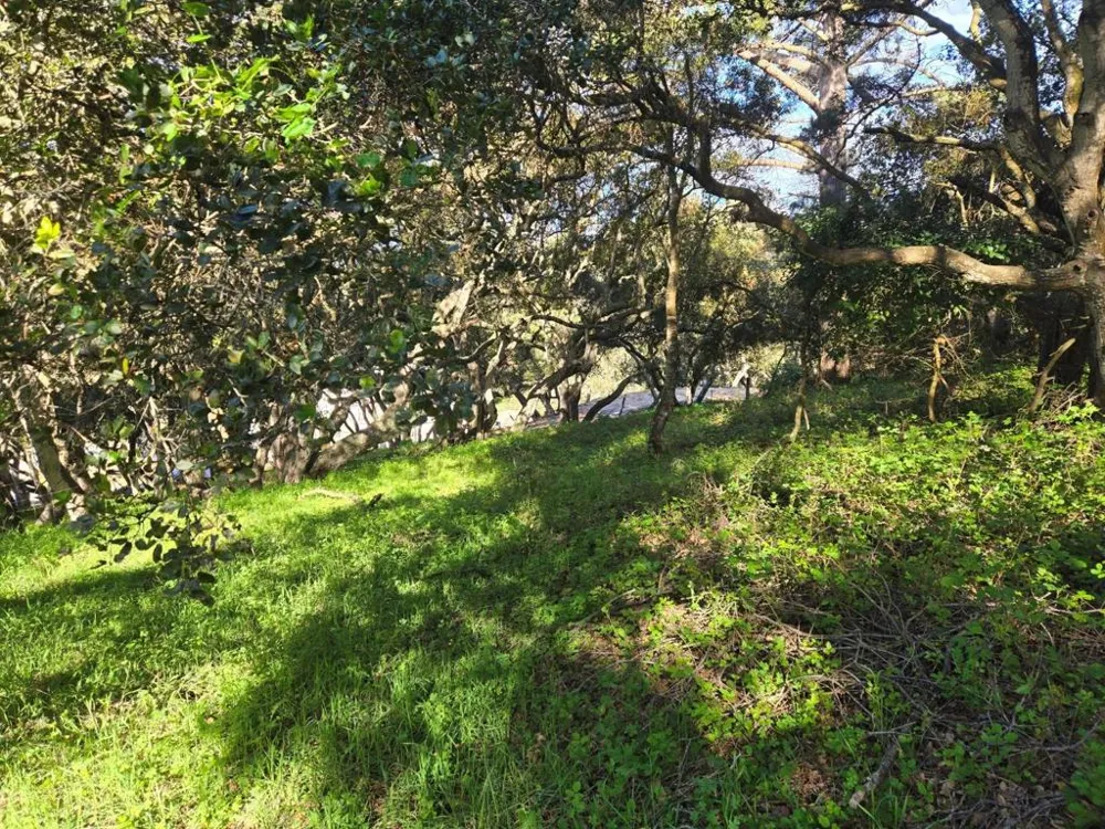 Paradise Road Salinas, CA 93907