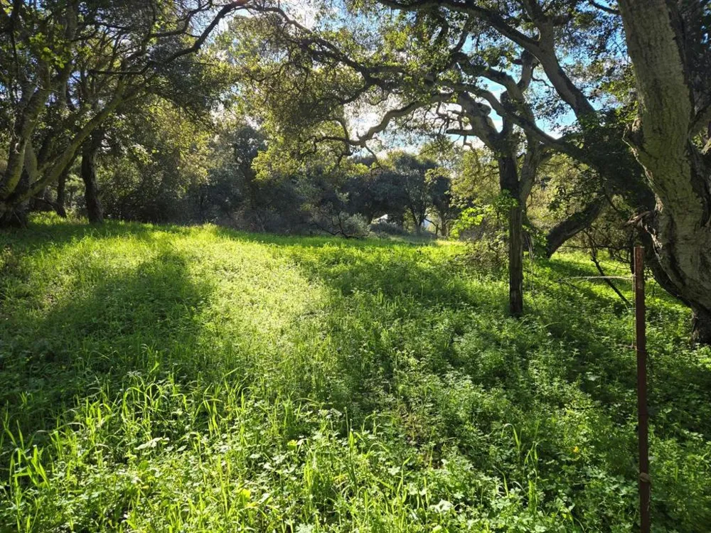 Paradise Road Salinas, CA 93907