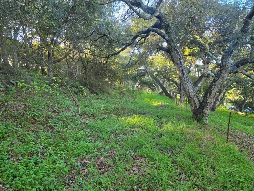Paradise Road Salinas, CA 93907