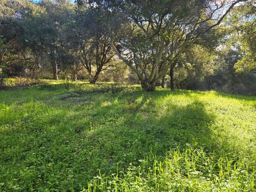 Paradise Road Salinas, CA 93907
