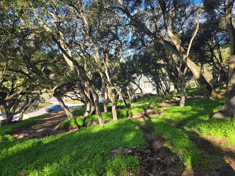 Paradise Road Salinas, CA 93907