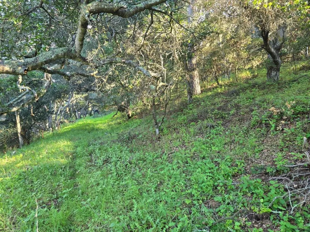 Paradise Road Salinas, CA 93907