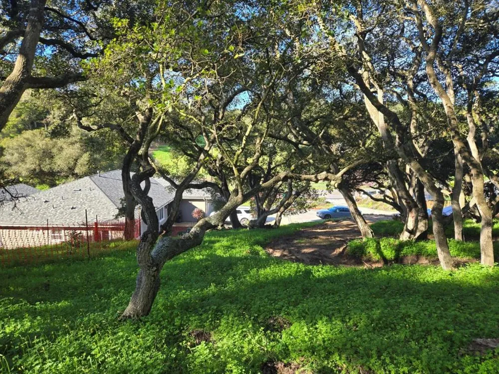 Paradise Road Salinas, CA 93907