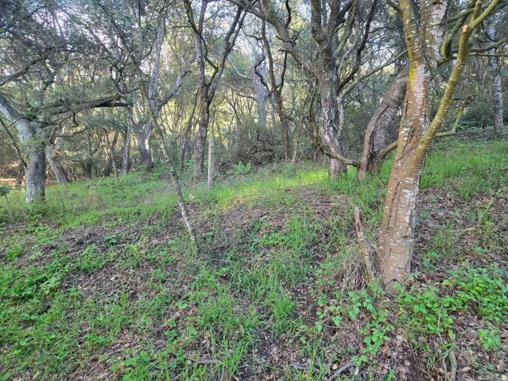 Paradise Road Salinas, CA 93907