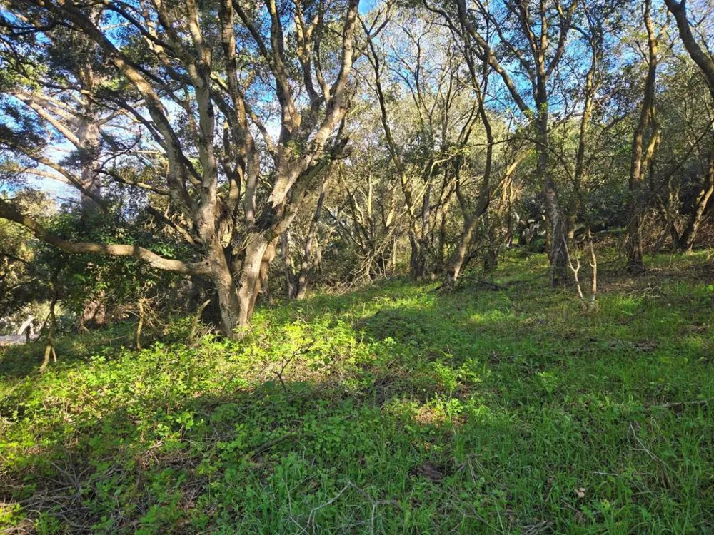 Paradise Road Salinas, CA 93907