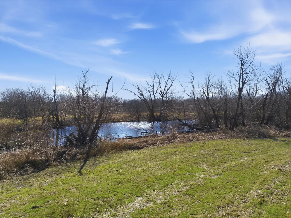 LCR 3212 Penelope, TX 76676