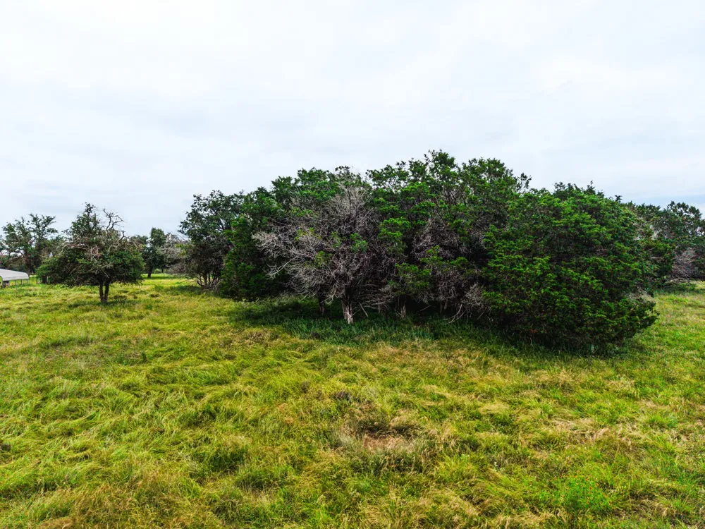 8089 Fm 580 E Kempner, TX 76539
