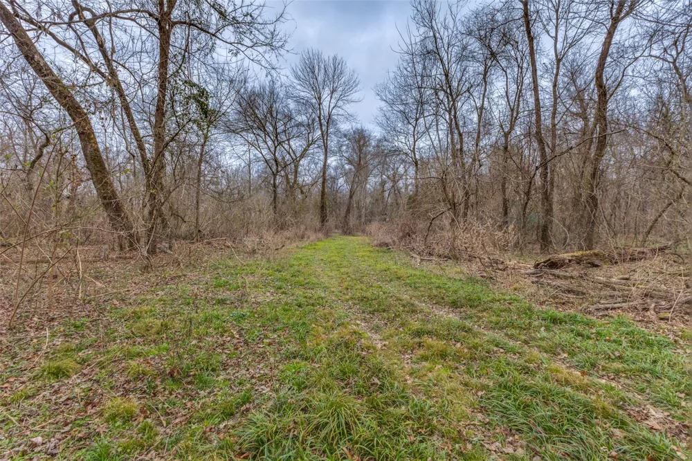 3025 Farm Road 900 W Saltillo, TX 75478