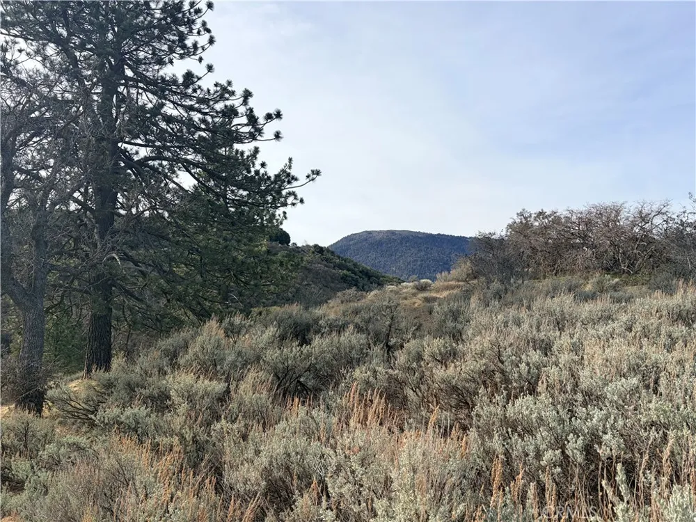23131 Constance Way Tehachapi, CA 93561