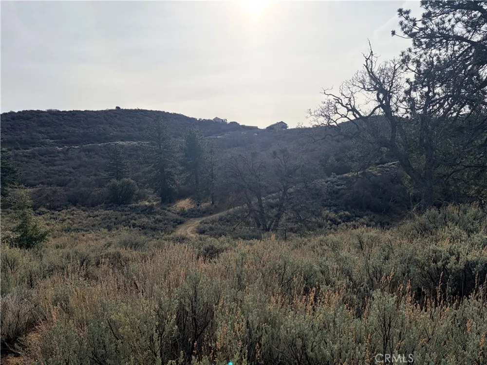 23131 Constance Way Tehachapi, CA 93561