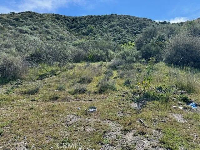 17930 Scherzinger Lane Canyon Country, CA 91387