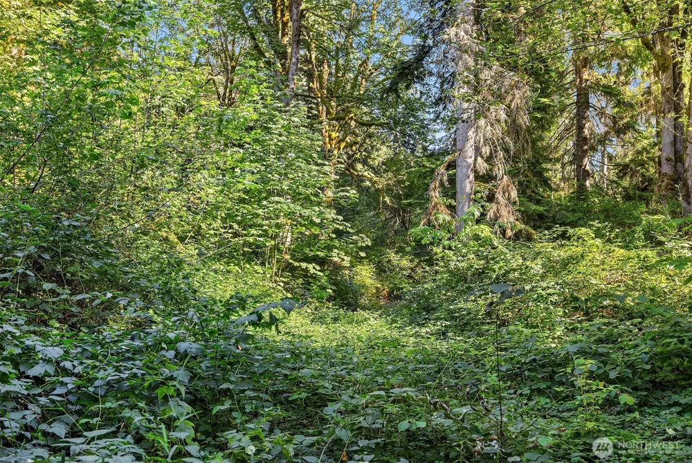 358 XX NE Moss Lake Road Carnation, WA 98014