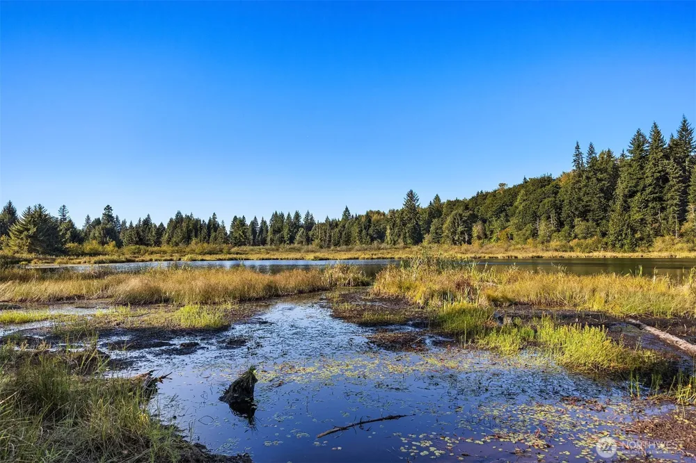 358 XX NE Moss Lake Road Carnation, WA 98014