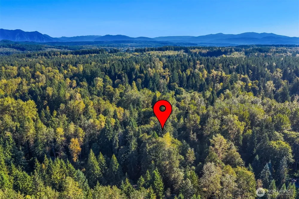 358 XX NE Moss Lake Road Carnation, WA 98014