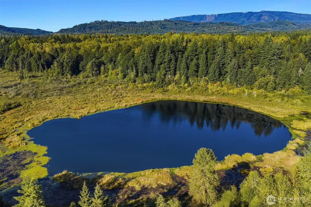 358 XX NE Moss Lake Road Carnation, WA 98014