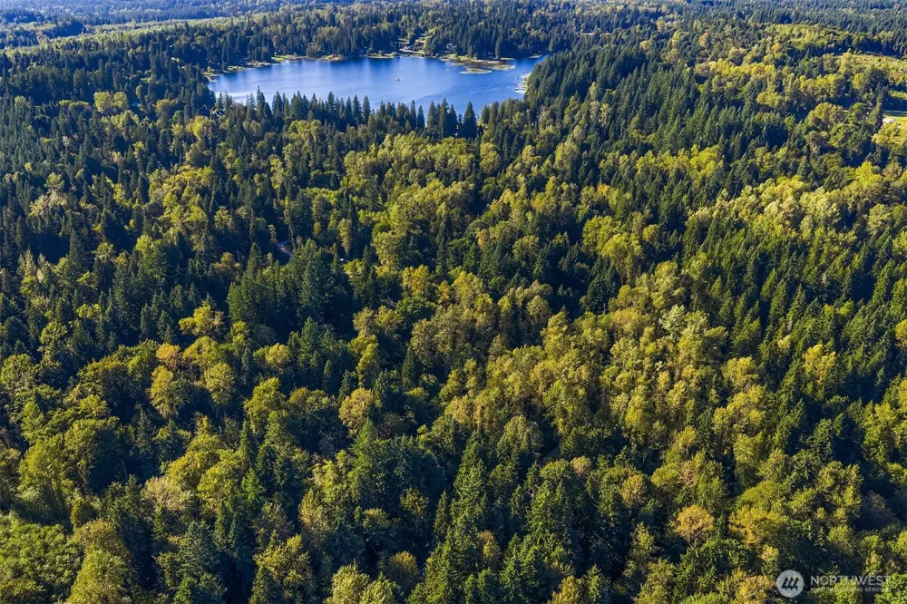 358 XX NE Moss Lake Road Carnation, WA 98014