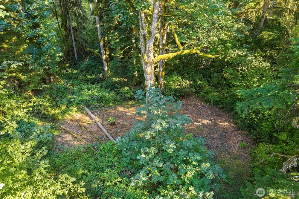358 XX NE Moss Lake Road Carnation, WA 98014