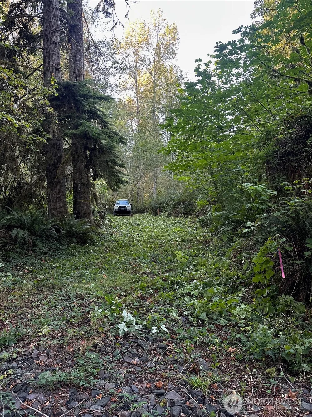 358 XX NE Moss Lake Road Carnation, WA 98014