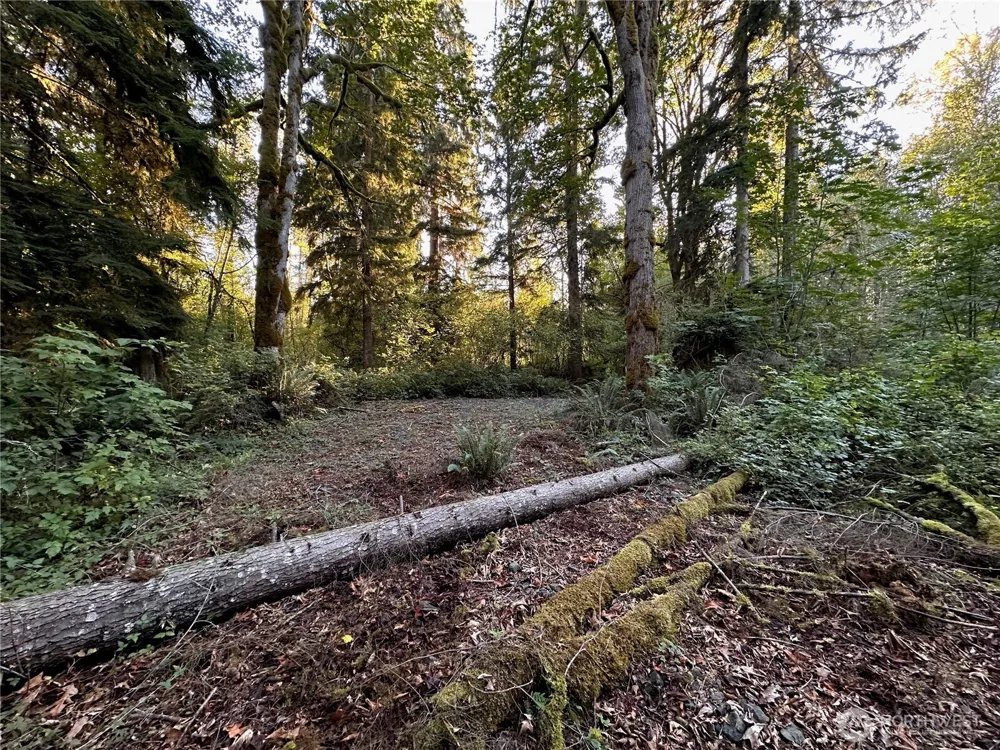 358 XX NE Moss Lake Road Carnation, WA 98014
