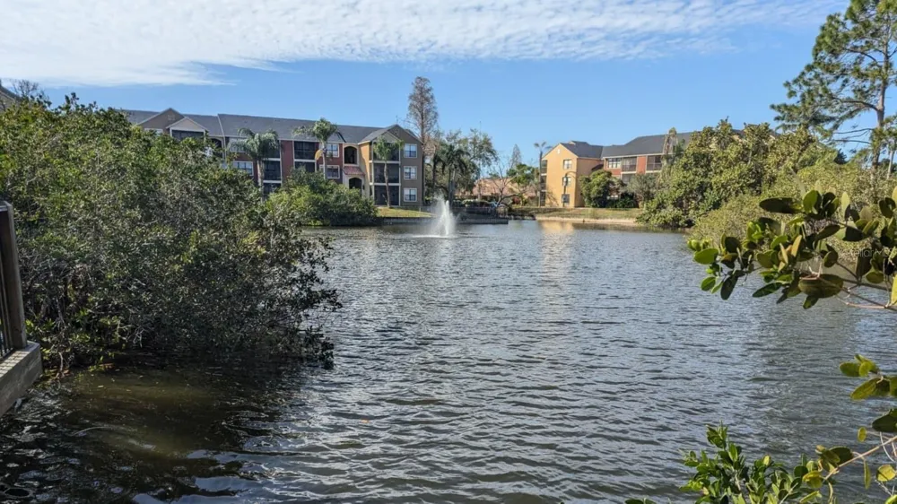 11901 4TH STREET #5212 St Petersburg, FL 33716