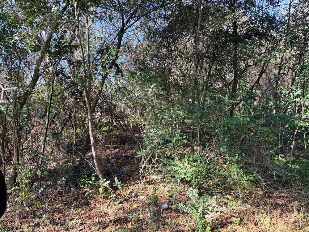 TBD NW 151ST AVENUE Alachua, FL 32615