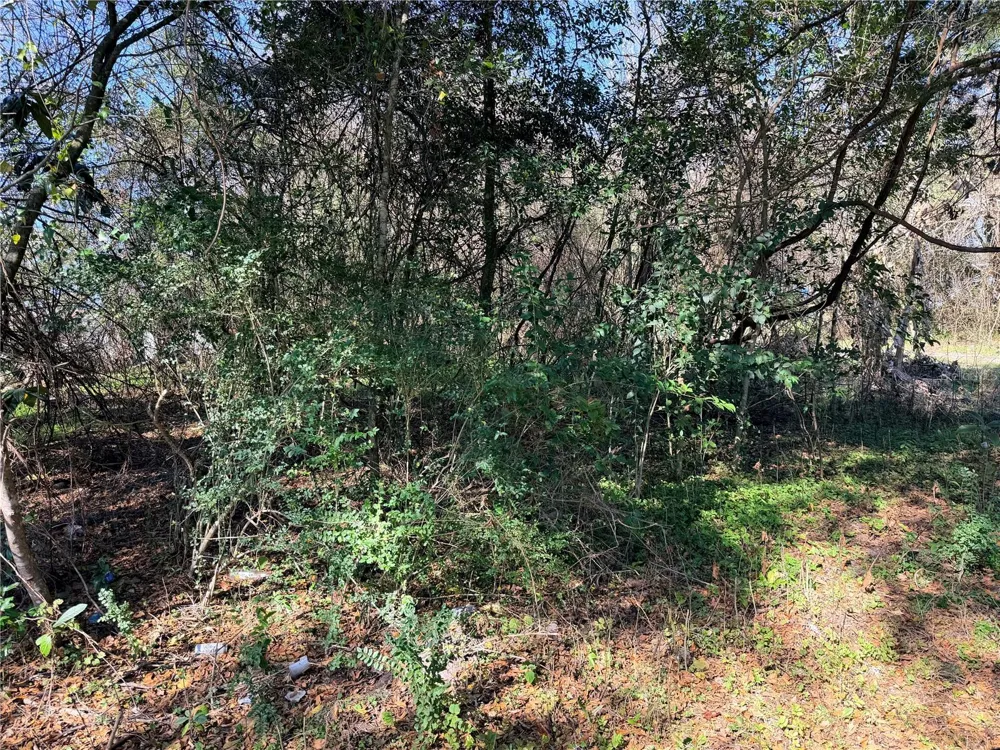TBD NW 151ST AVENUE Alachua, FL 32615