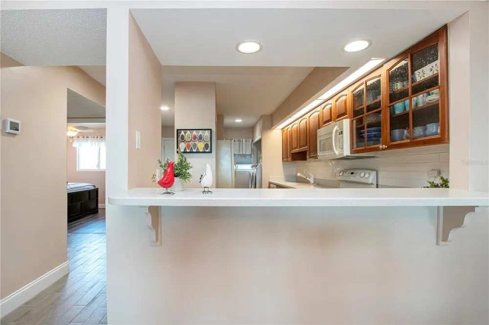 802 BAHIA DEL SOL DRIVE #6 Ruskin, FL 33570