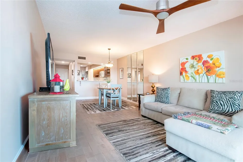 802 BAHIA DEL SOL DRIVE #6 Ruskin, FL 33570