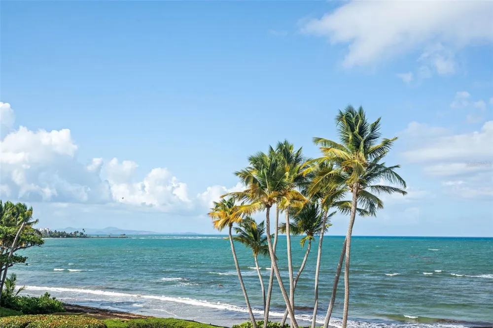 355 HARBOUR DR #3C - South Humacao, PR 00791