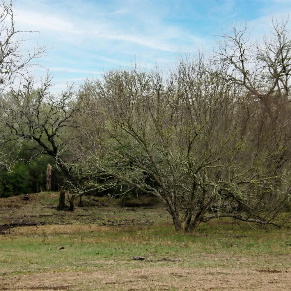 5020 Metting School Road Yorktown, TX 78164