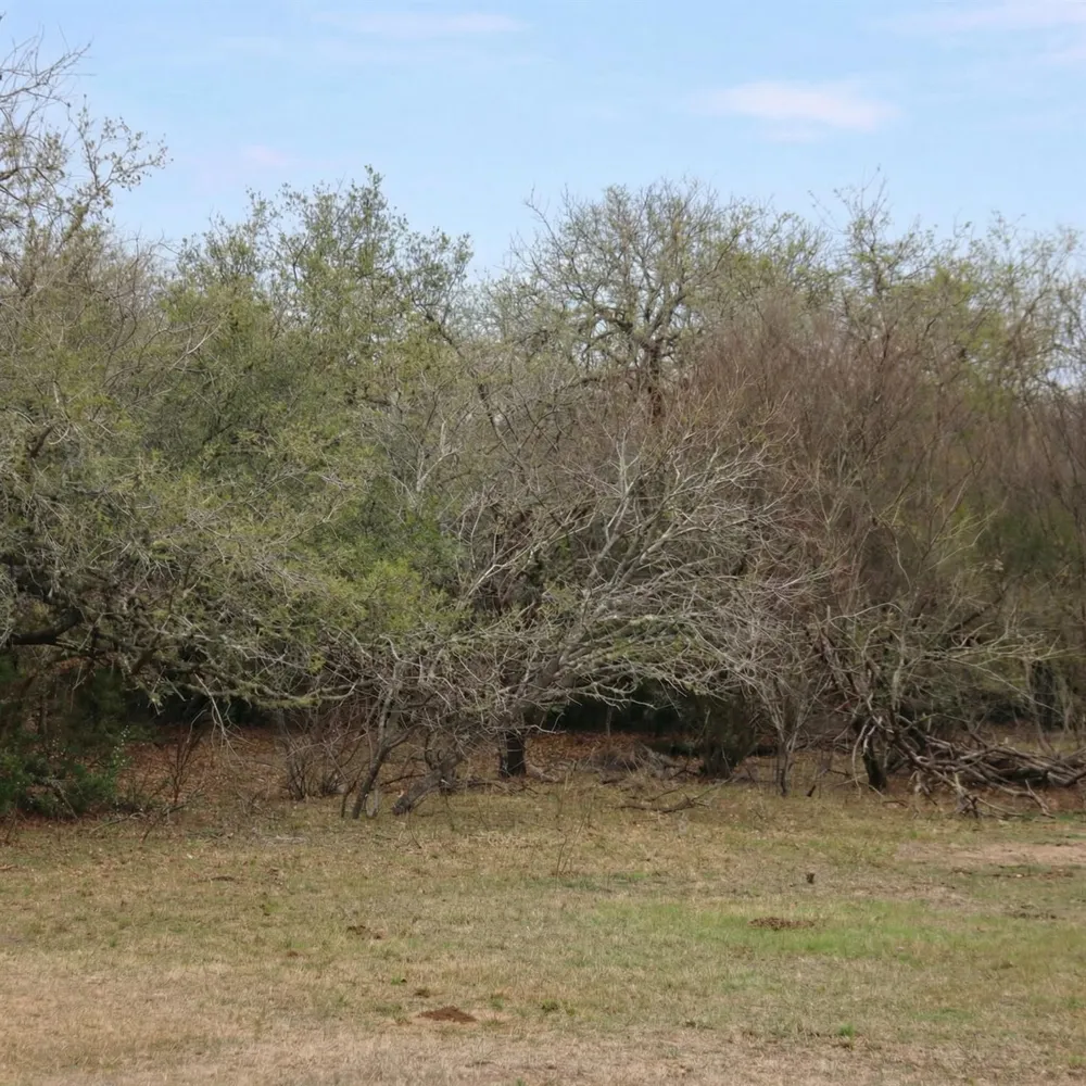 5020 Metting School Road Yorktown, TX 78164