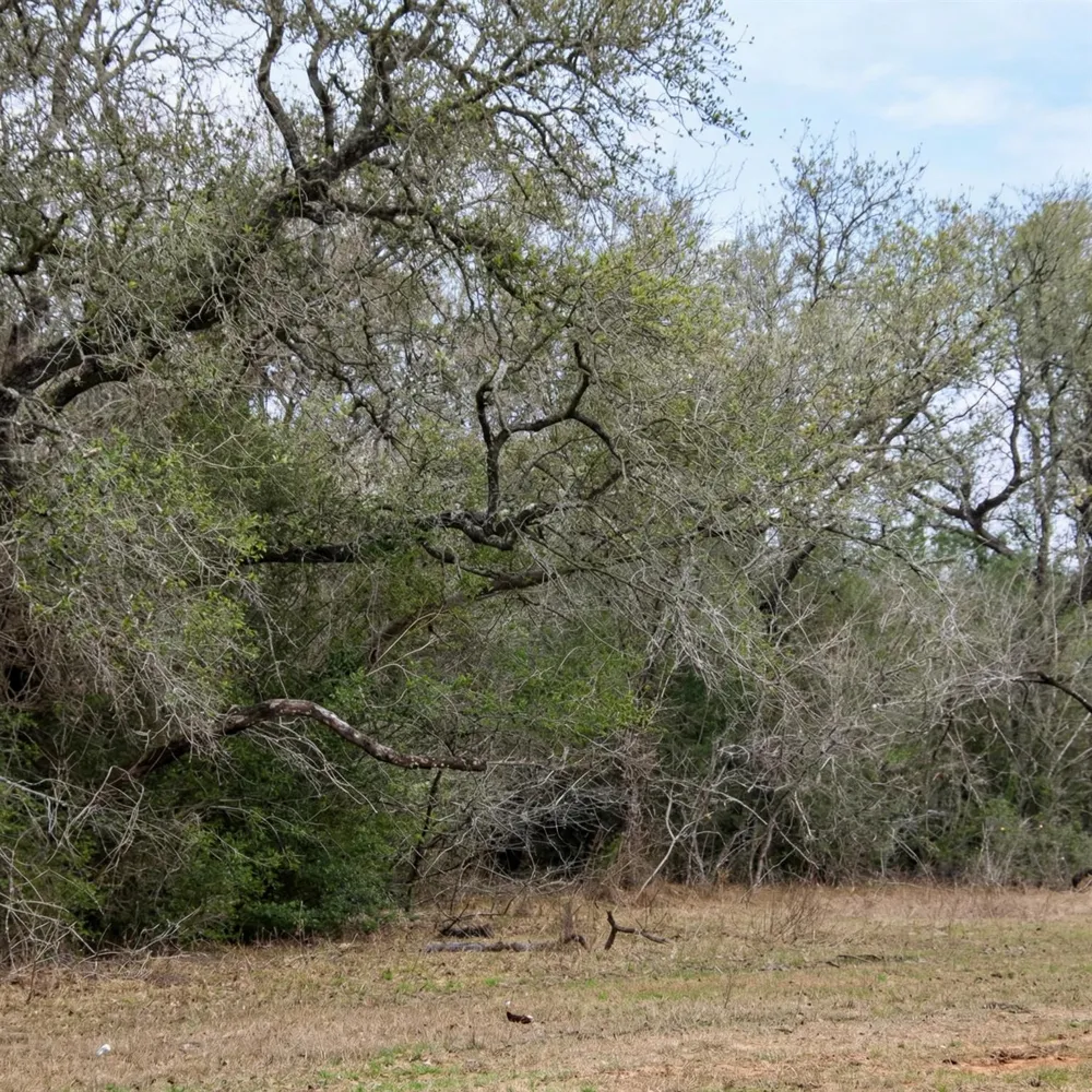 5020 Metting School Road Yorktown, TX 78164