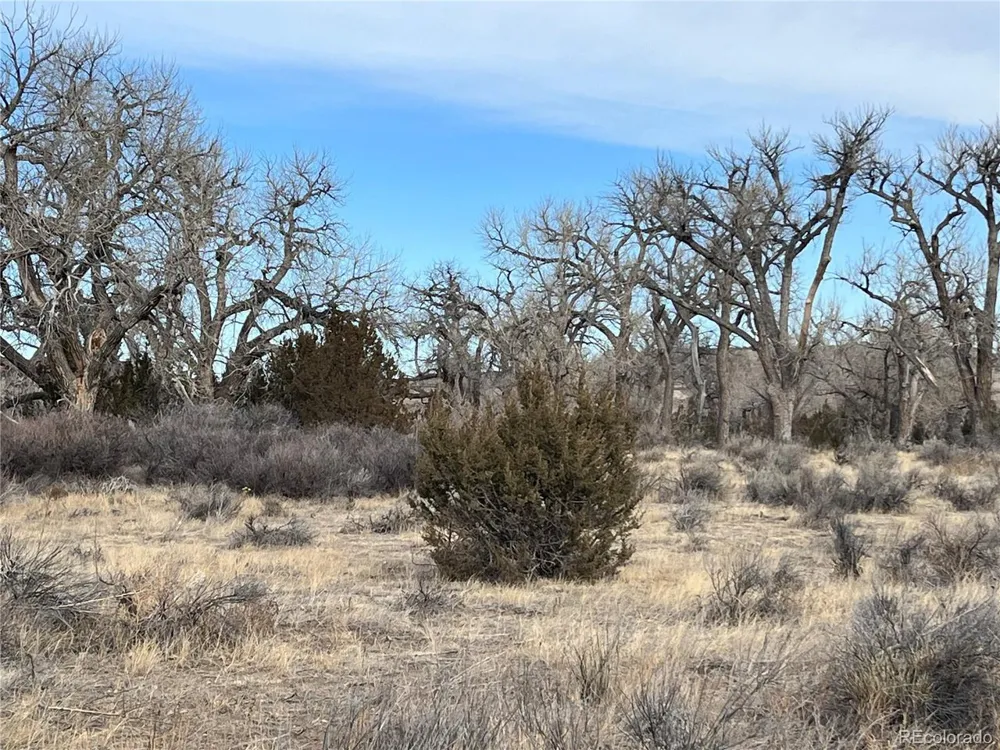 14 Ghost River Ranch Walsenburg, CO 80189