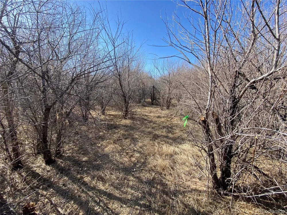 14 Ghost River Ranch Walsenburg, CO 80189