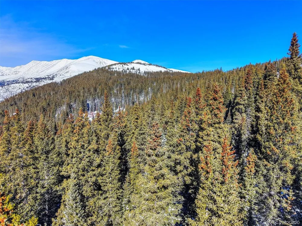 58969 Highway 9 Alma, CO 80420