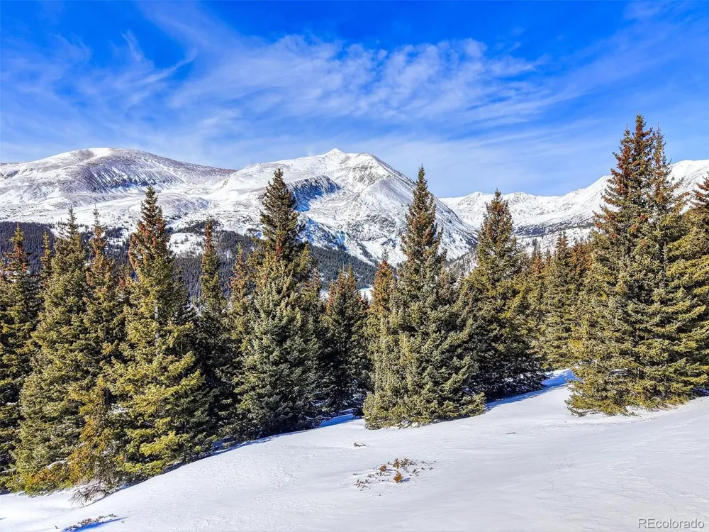 58969 Highway 9 Alma, CO 80420