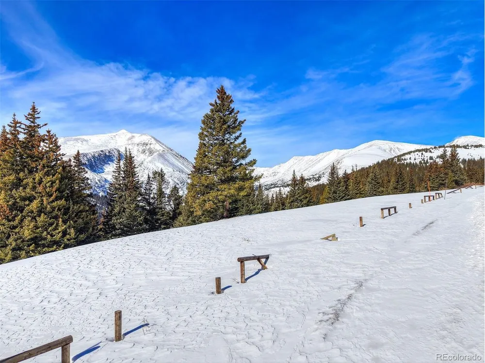 58969 Highway 9 Alma, CO 80420