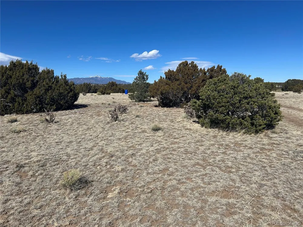 241 Greenhorn Village Lane Walsenburg, CO 81089