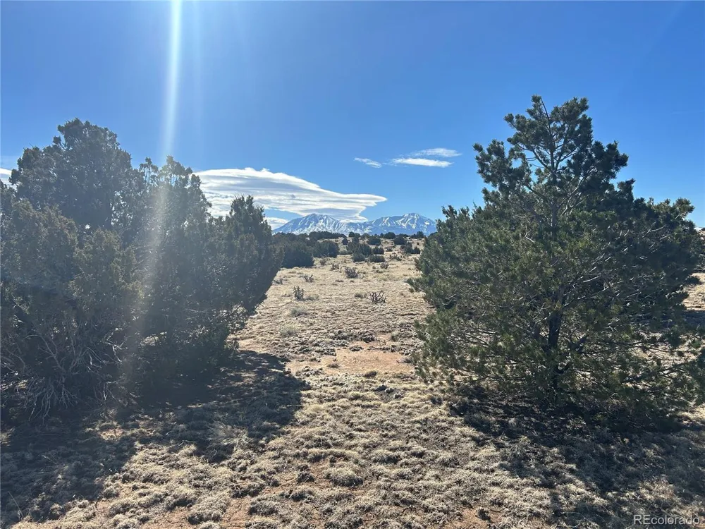 241 Greenhorn Village Lane Walsenburg, CO 81089