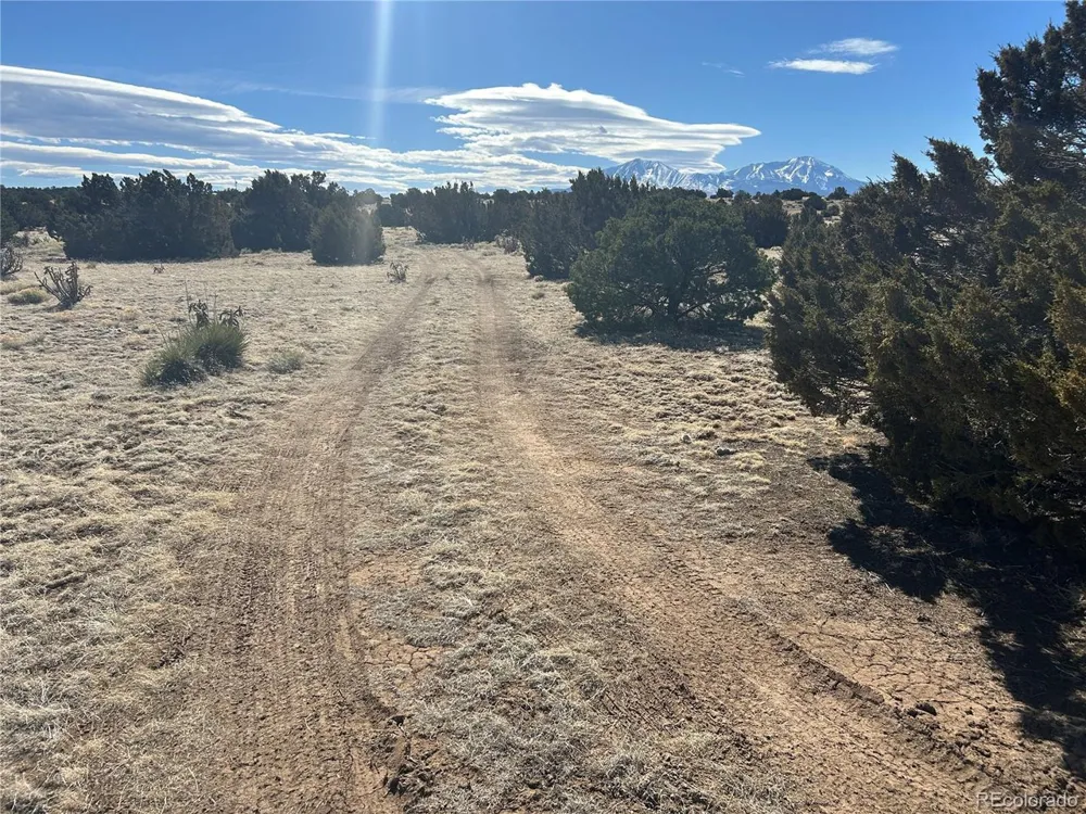 241 Greenhorn Village Lane Walsenburg, CO 81089