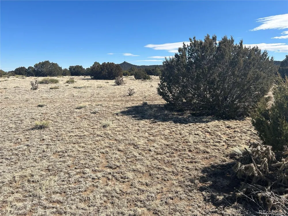 241 Greenhorn Village Lane Walsenburg, CO 81089