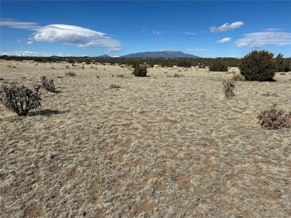 241 Greenhorn Village Lane Walsenburg, CO 81089