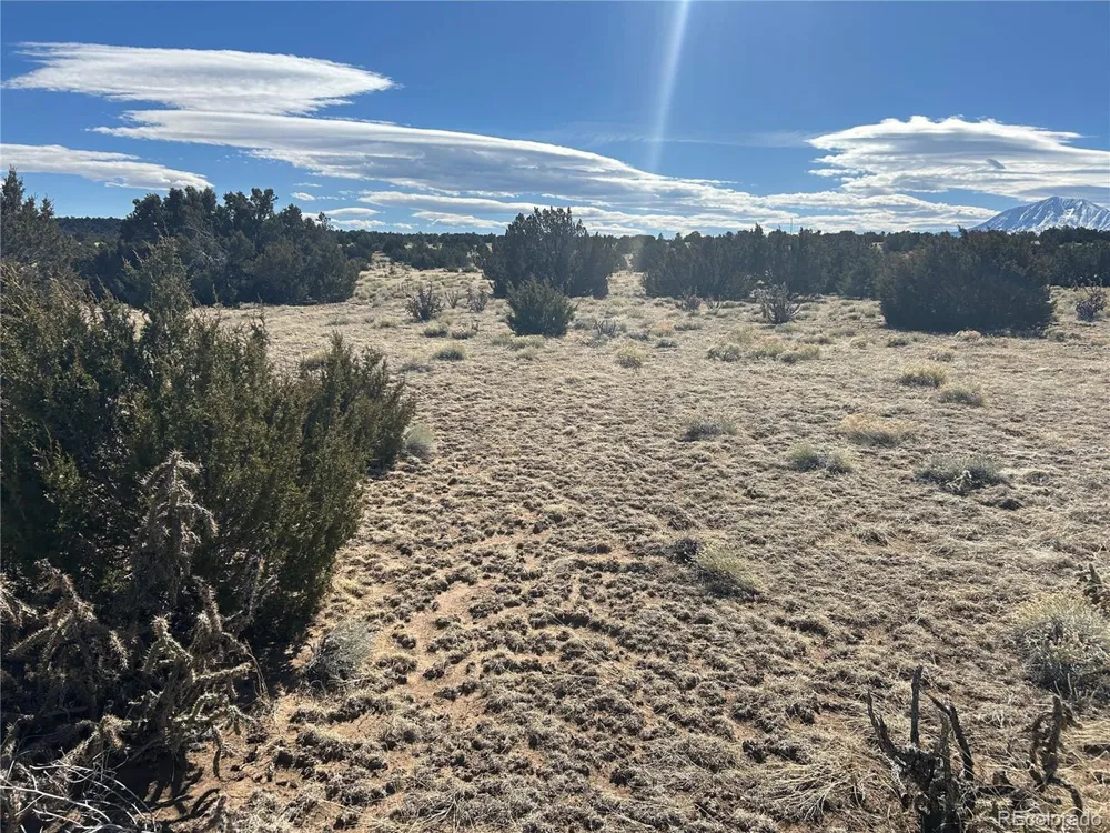 241 Greenhorn Village Lane Walsenburg, CO 81089