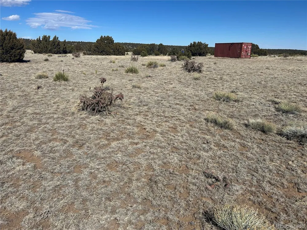 241 Greenhorn Village Lane Walsenburg, CO 81089