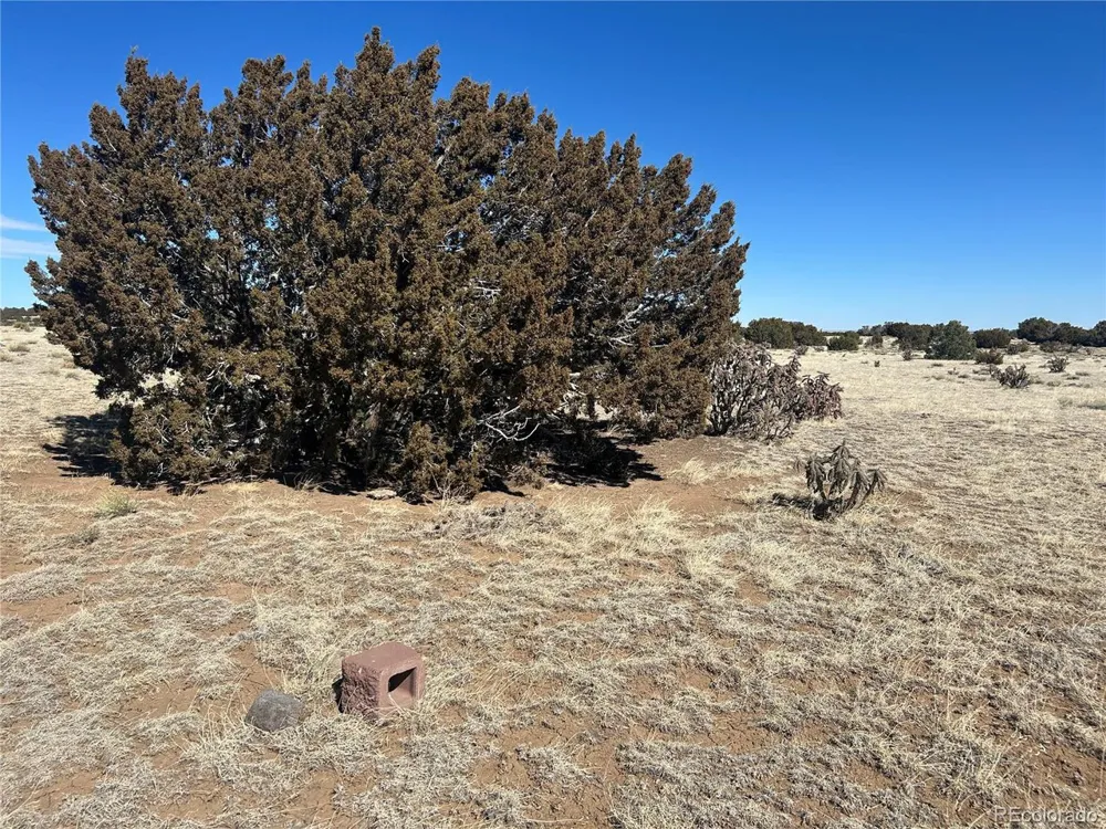 241 Greenhorn Village Lane Walsenburg, CO 81089